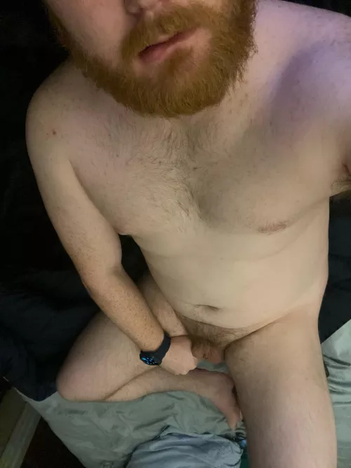 Any love for a chubby ginger in this Sub??