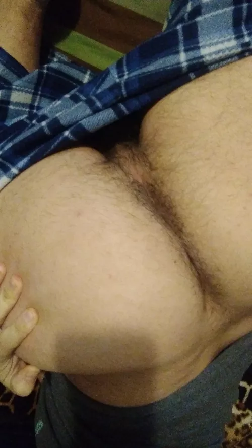 Hoping to have a full fuzzy ass soon