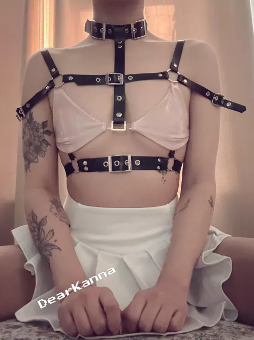 It’s been a while, Reddit 💋