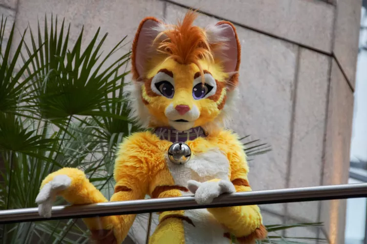 Kitty D says you're cute! (@KittyD_uk on Twitter)