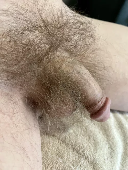 [M] 33 - A snake in the bushes.