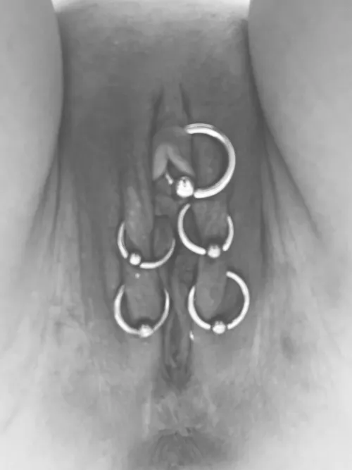 My little collection