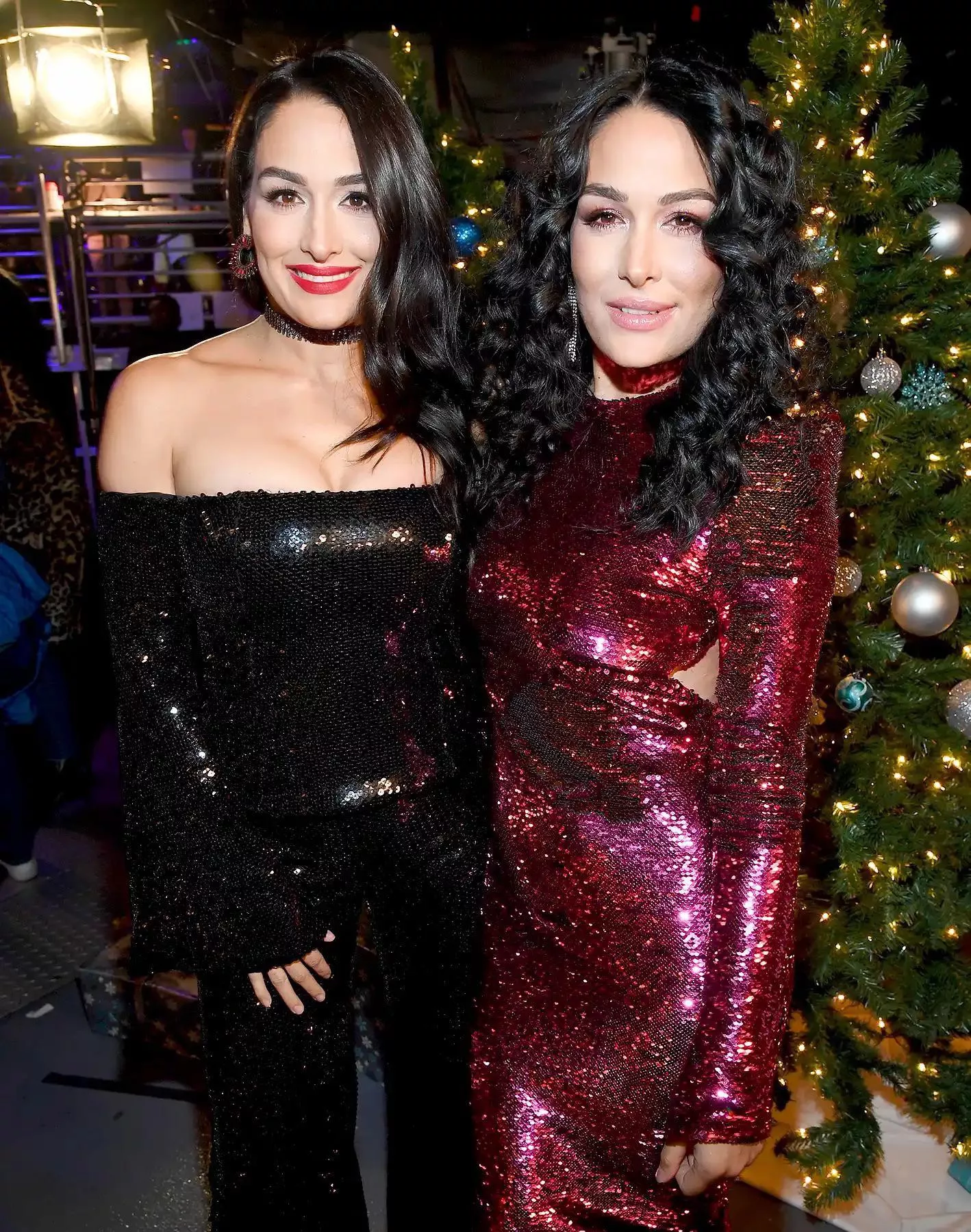 Nikki and Brie Bella