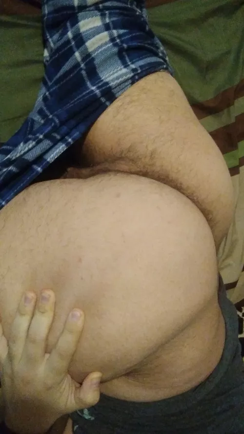 Please let me sit on your face!