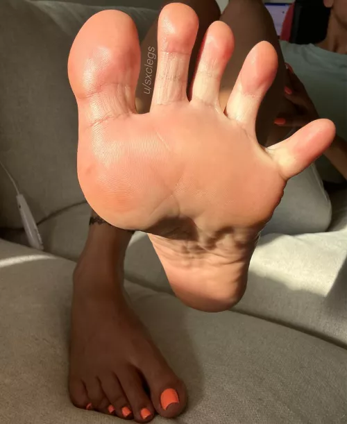 Wedge your nose in between my toes