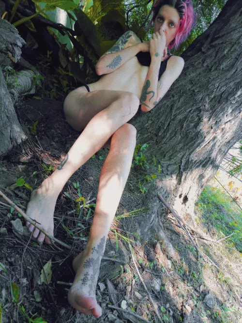 Would you lick them in the woods?