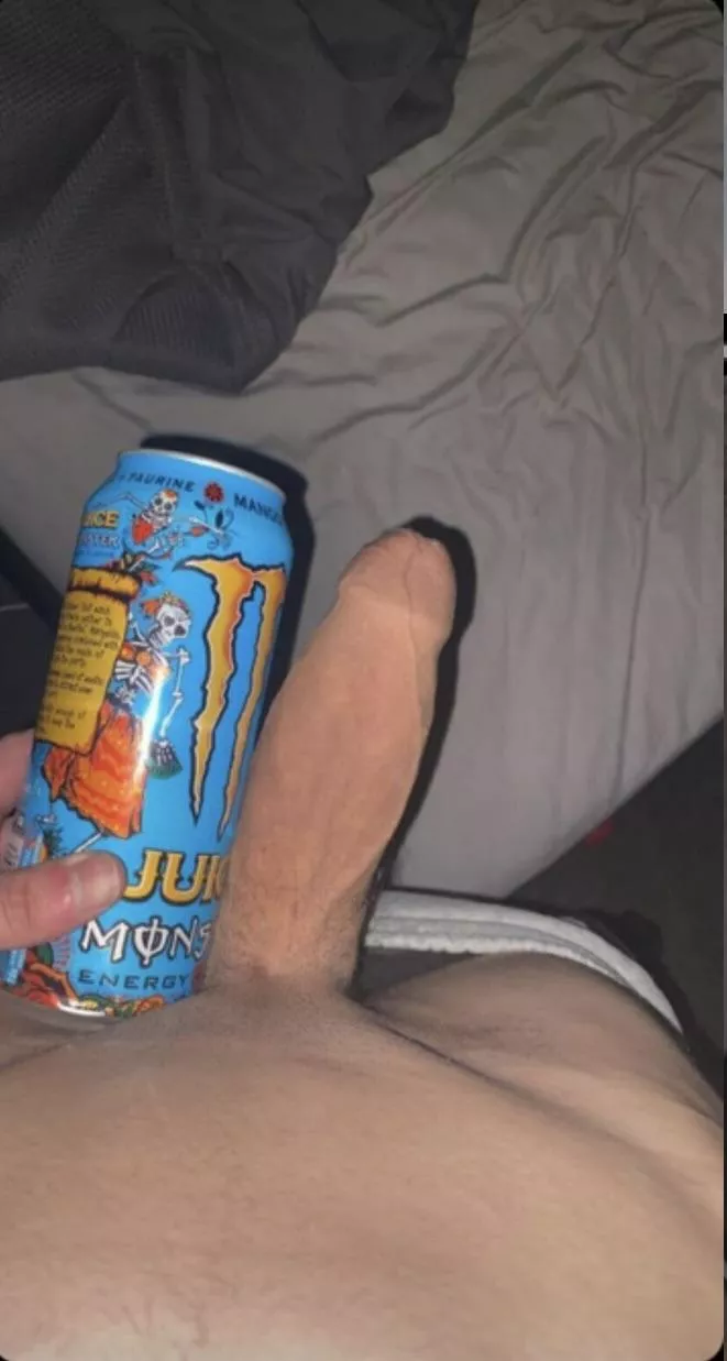Would you take this young bull cock?