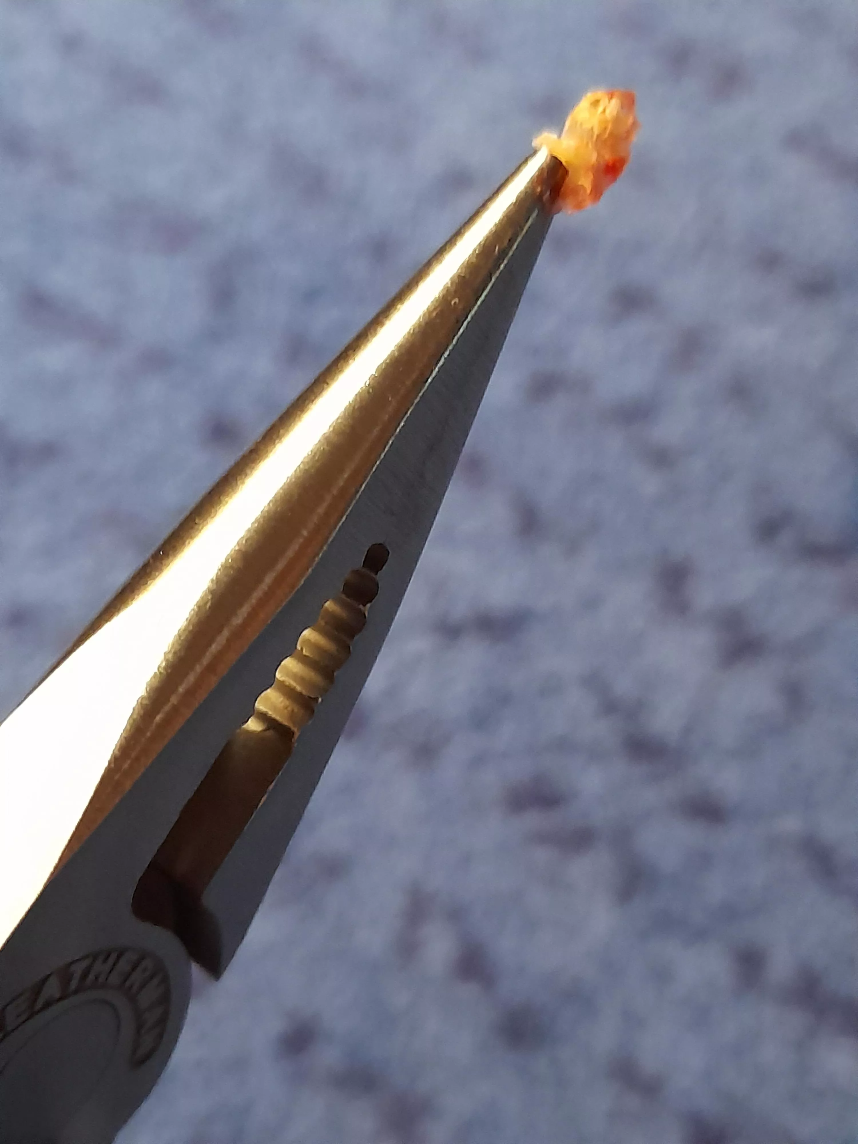 Yet another victory for the leatherman!