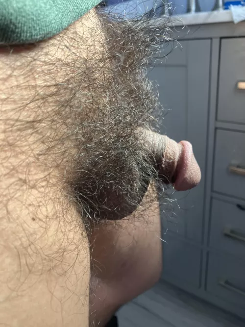 29M — I feel like no women like it this hairy. It sucks.