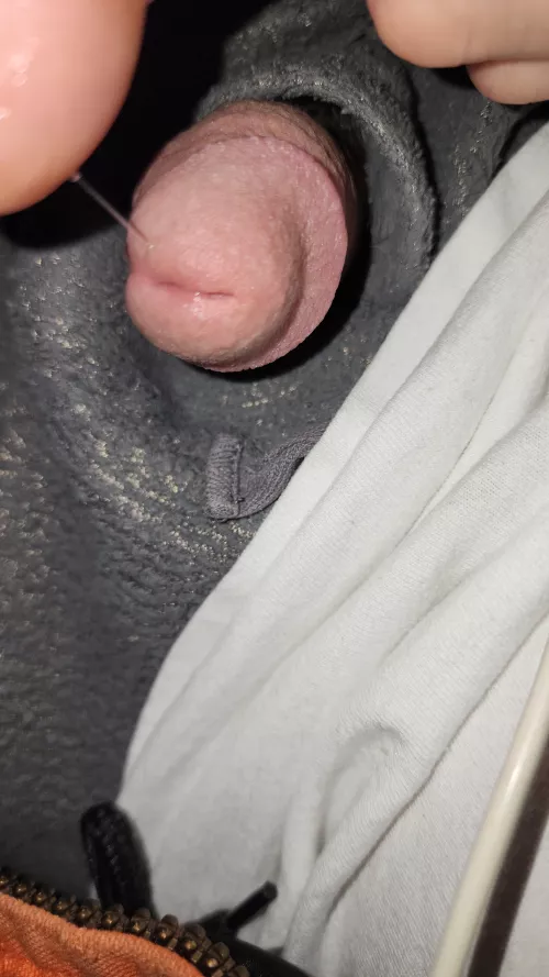 [45] dad looking to play with a girl near windsor ontario canada