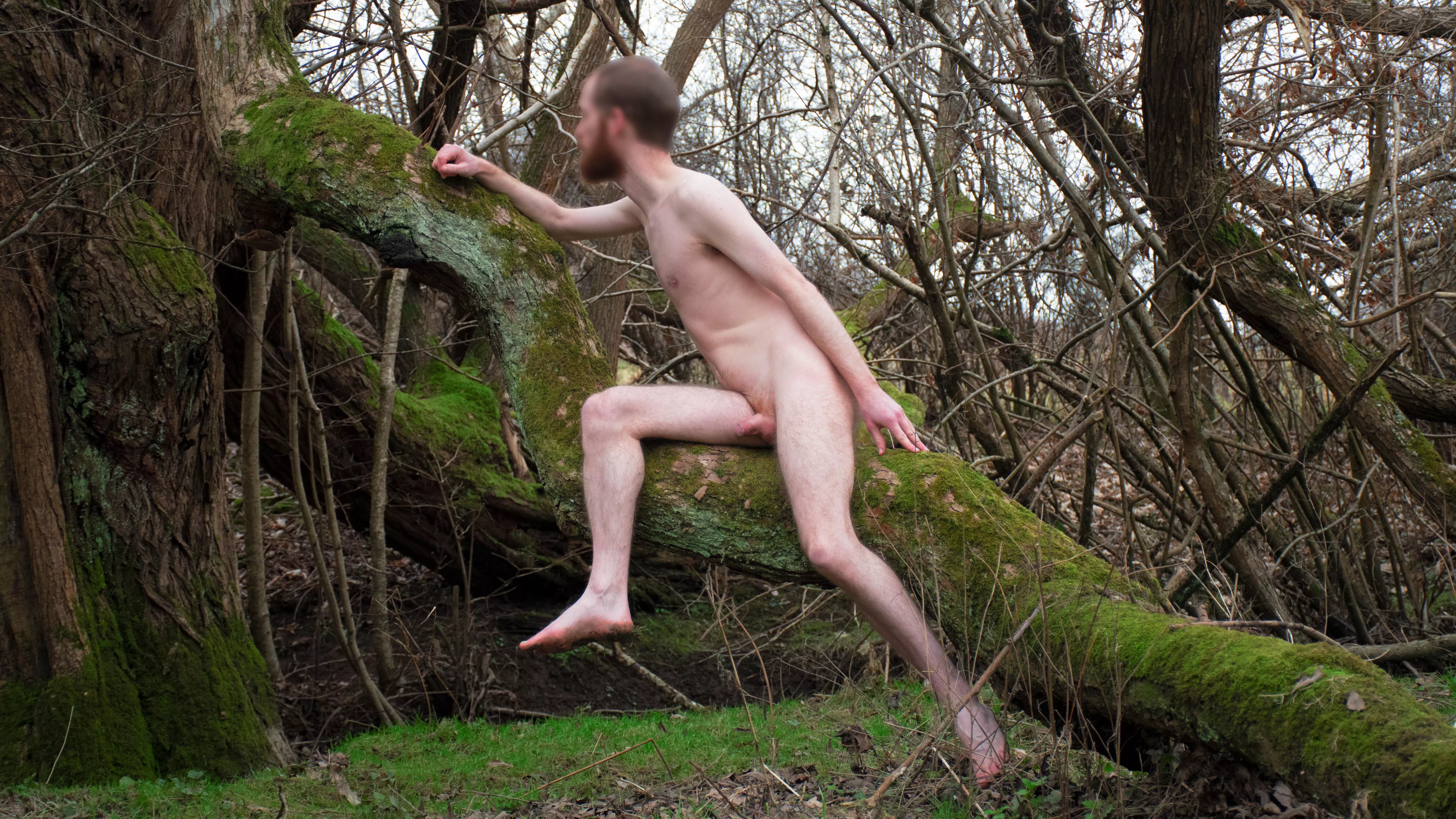 Bending with the branches