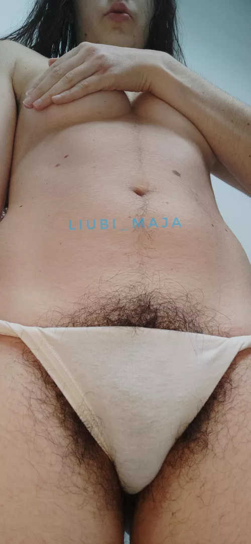 can I be your hairy queen?