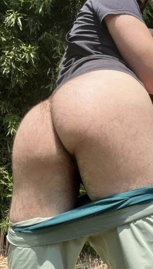 Come take this hairy ass