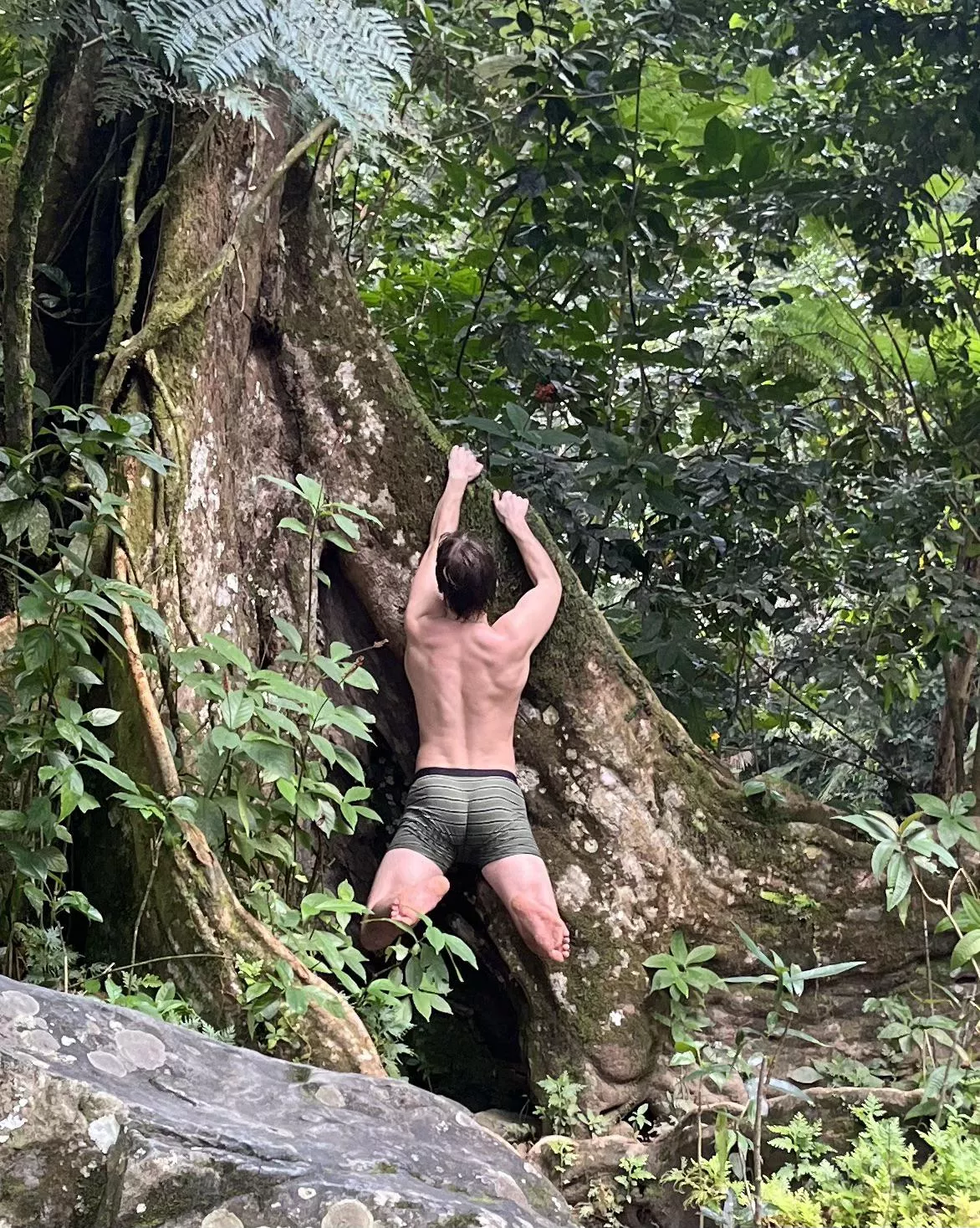 Could I be Tarzan for you?