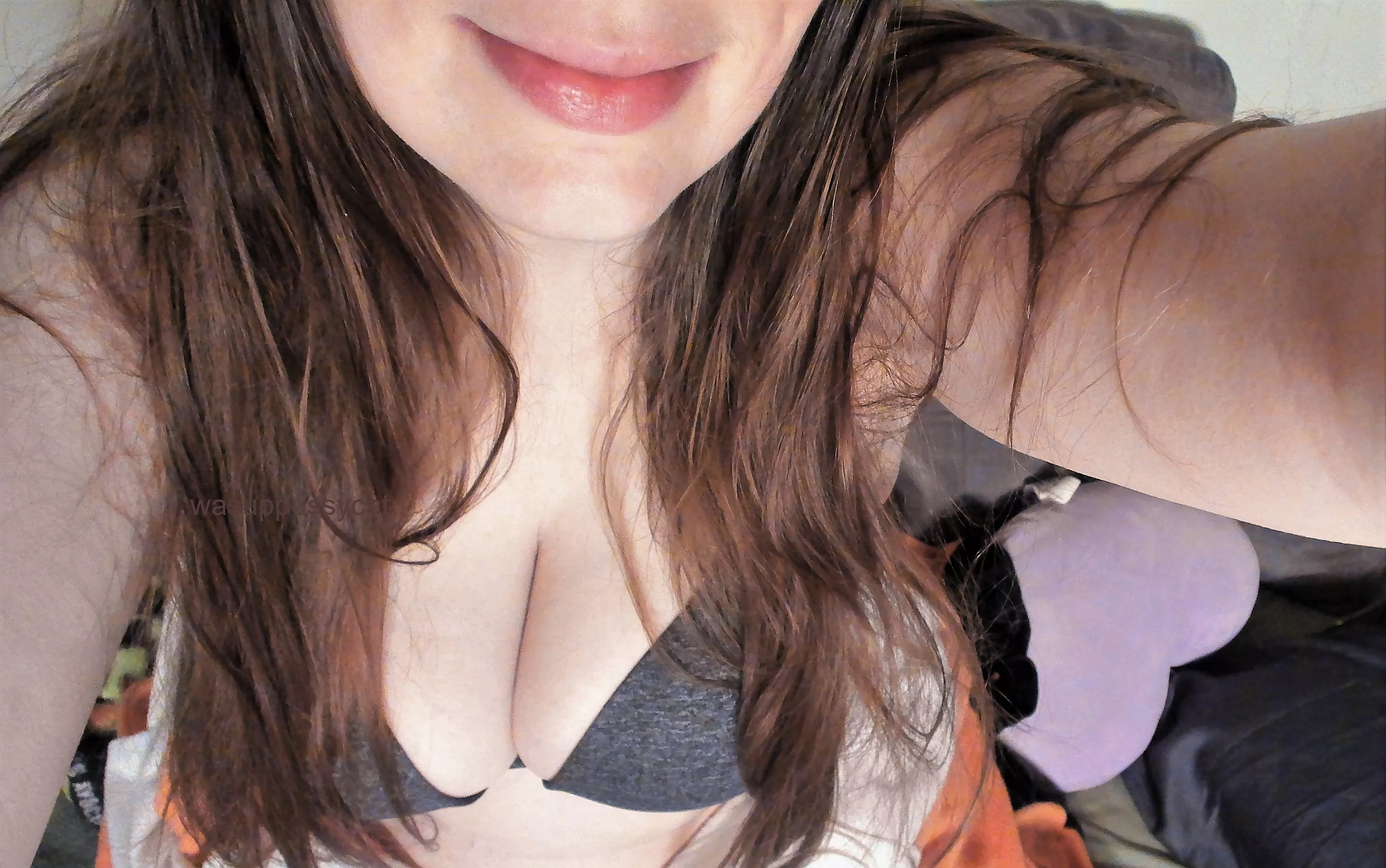 [f] Wheres my Sunday morning snuggle