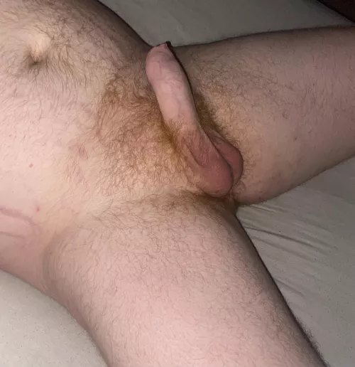 Haven’t trimmed in a while, what do you think? 😊