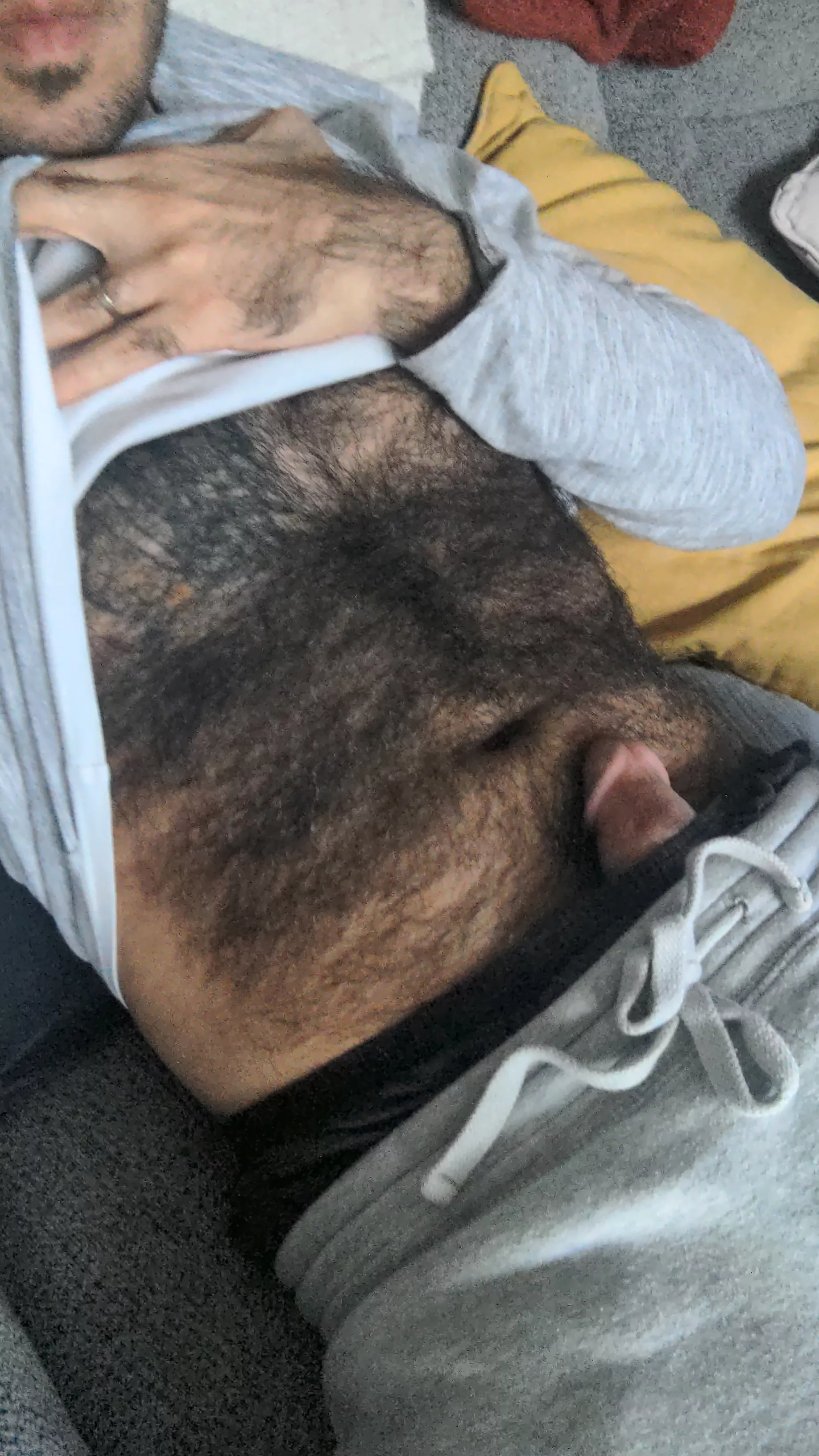 How do you like my carpet?