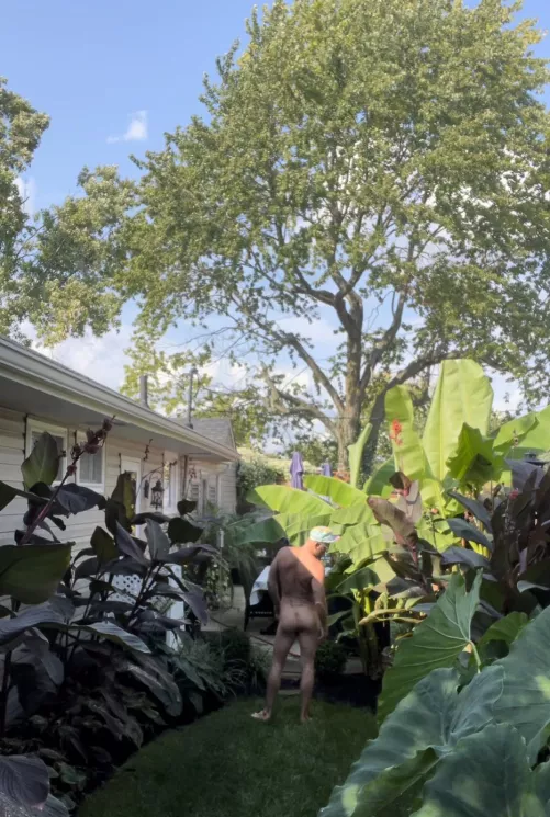 Missing my backyard paradise , summer can’t get here soon enough !!