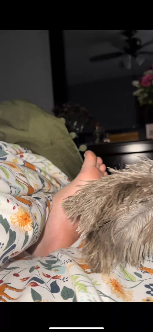 My girl let’s me tickle her feet in her sleep and I just started recording. Lmk if anyone would be instead on me started an OF with these videos