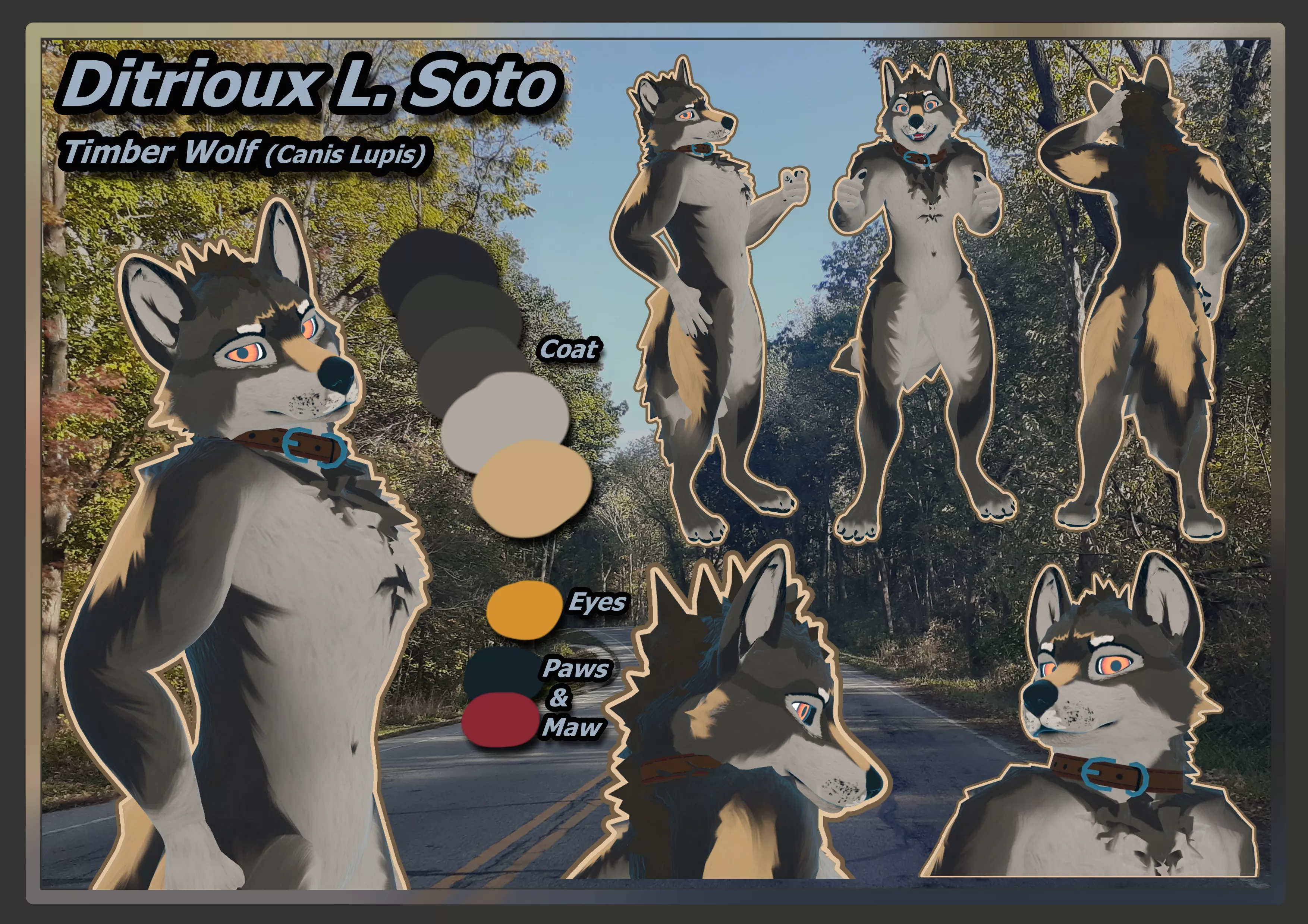 my sona finally has some sort of ref sheet, it only took me 11 years..