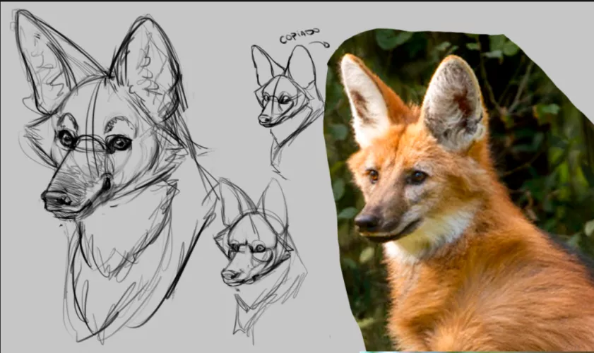 One of my first attempts to try to stylize an animal. It's hard, how you guys make it looks so simple Ç_Ç