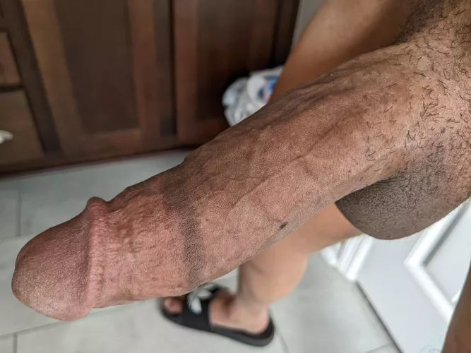 Rate my cock from 1-10. dm are open, let me know if you'd ride bend over for me