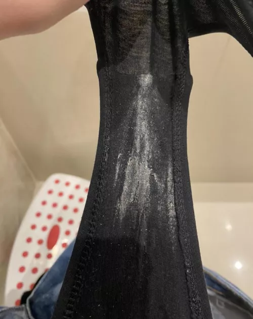 Ready for their new home