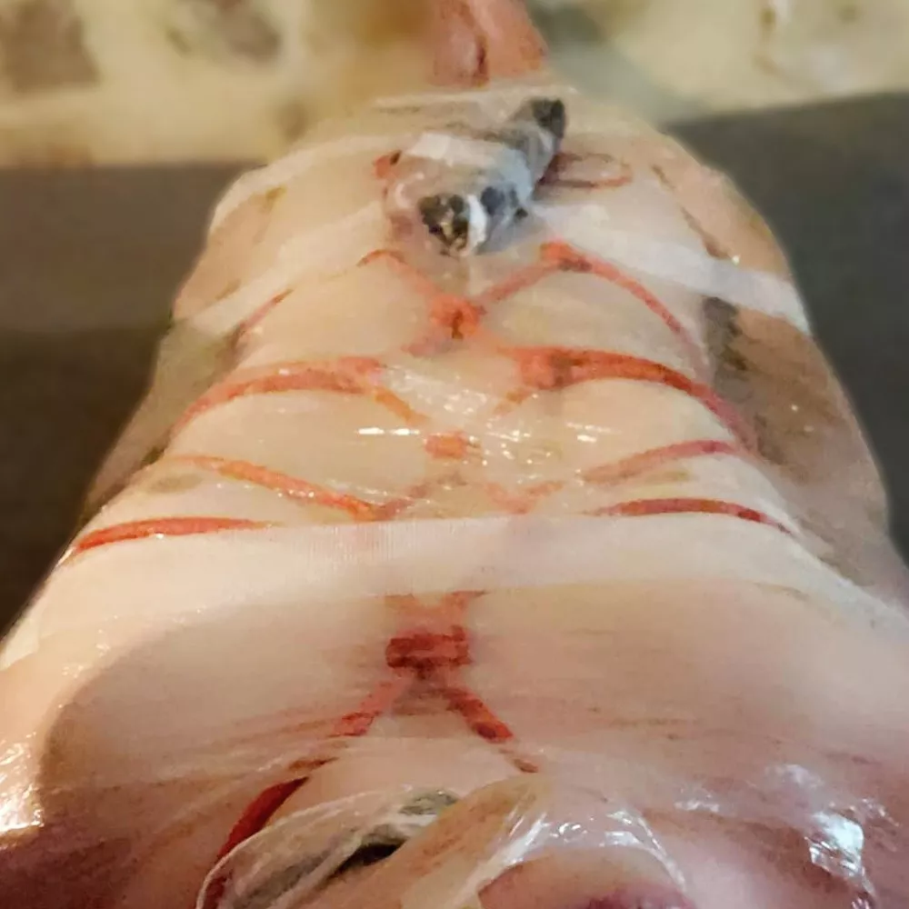 Shibari n' mummification... what else 🥵