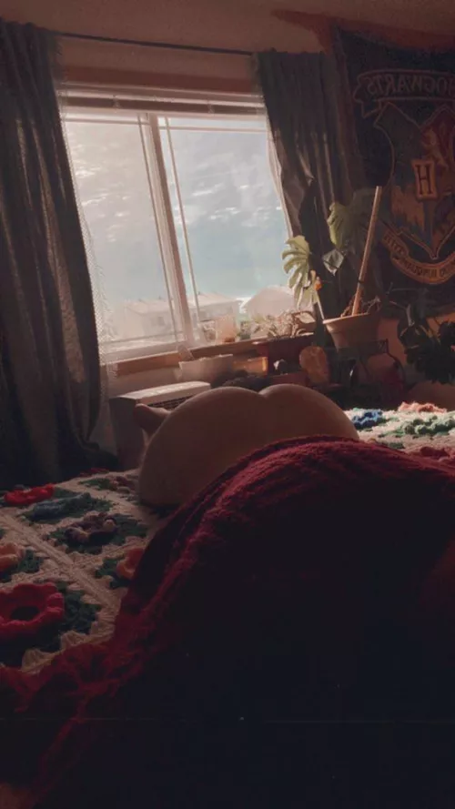 Show me who’s boss?😇