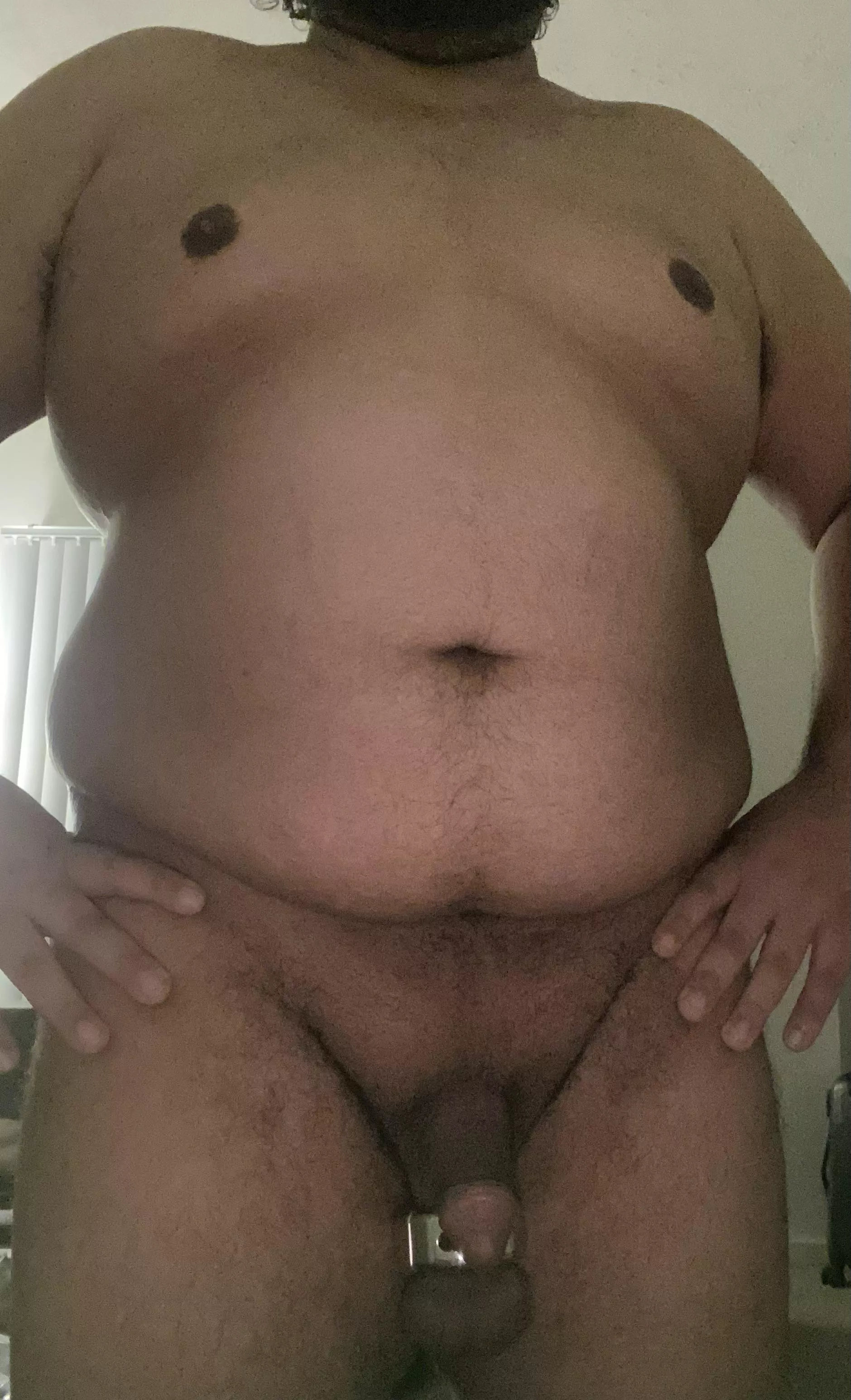 This evenings attire