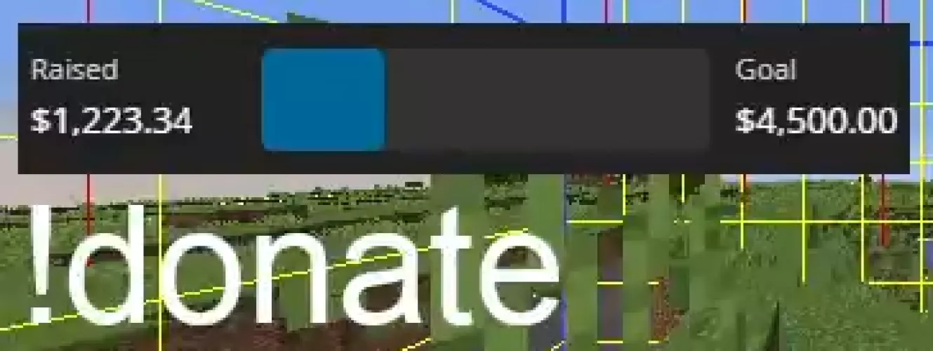 What website/app is this streamer using for his dono goal?