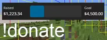 What website/app is this streamer using for his dono goal?