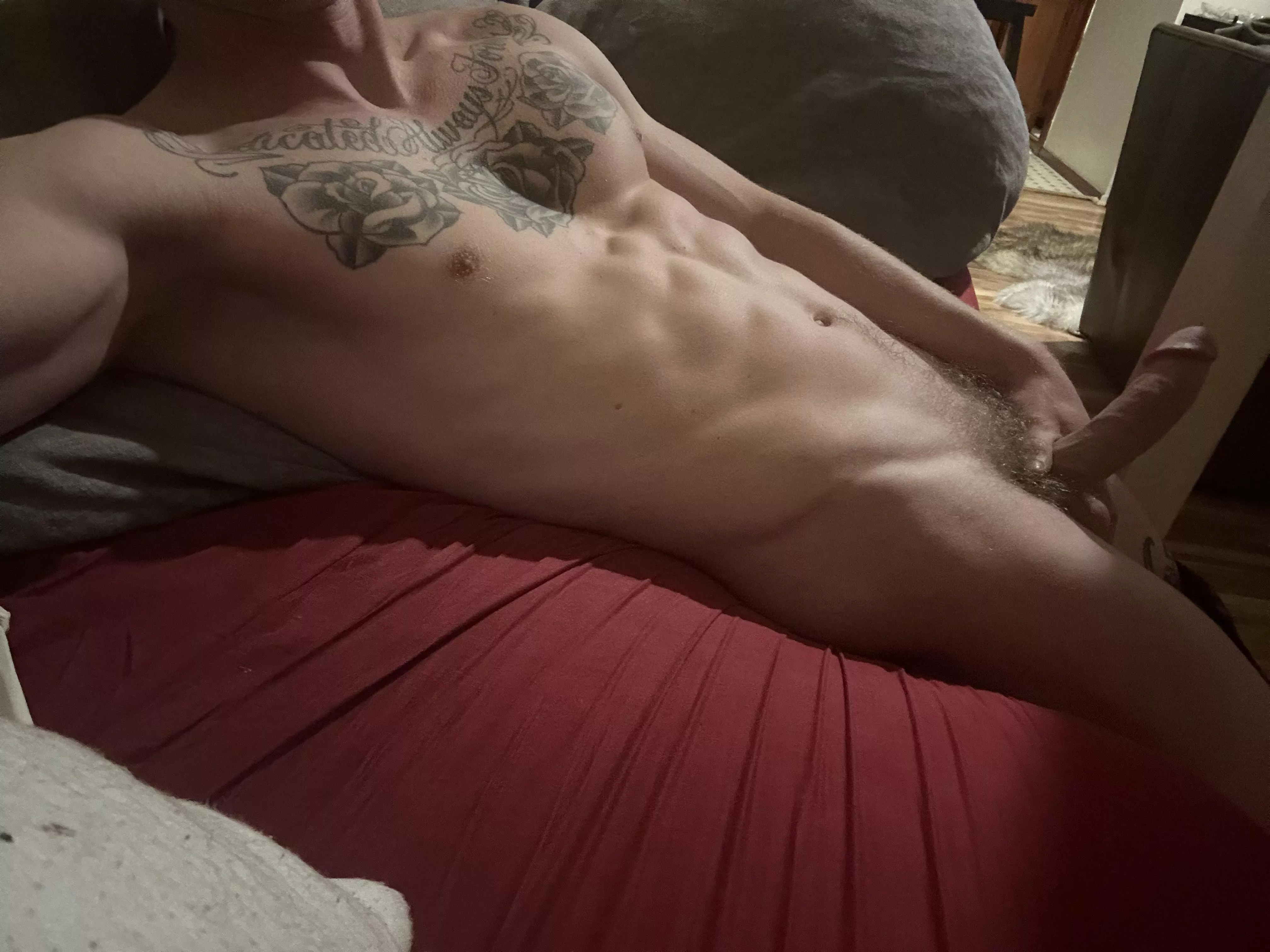 Who would let me breed their holes??