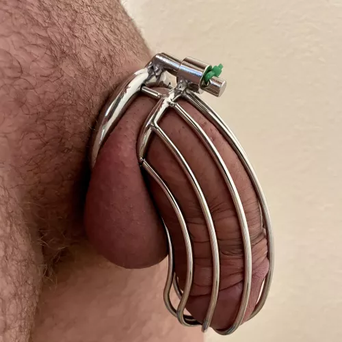 8” hard and now this…