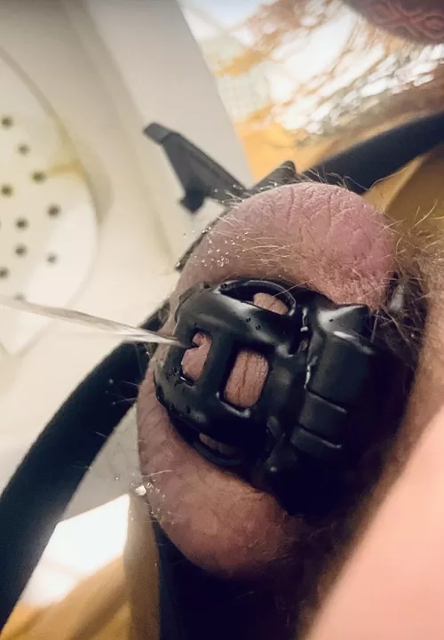 A little but of back splash on my cage