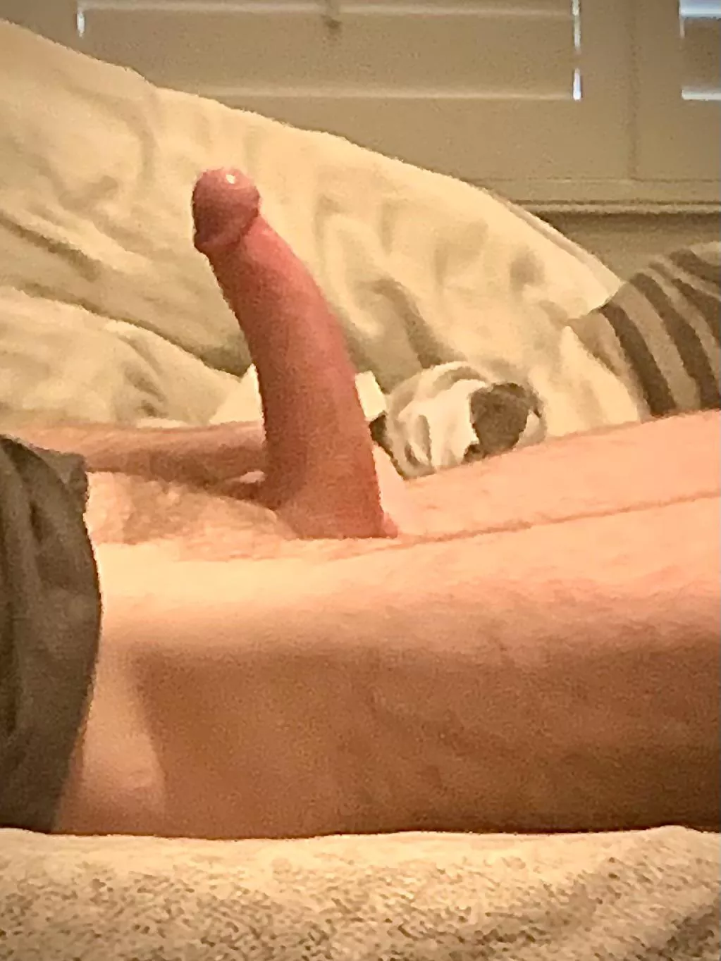 All about that base. How would you rate it?