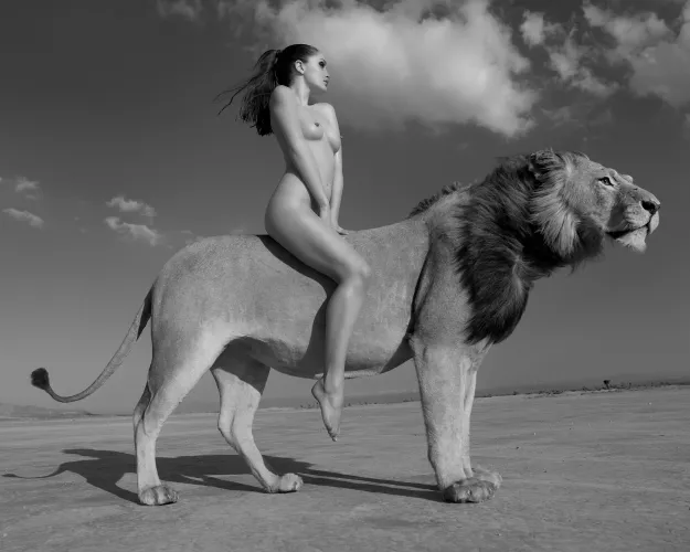 Angela Rides the Lion, by Sylvie Blum