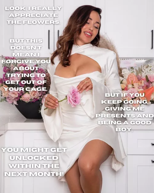 At least you’re trying to properly apologize