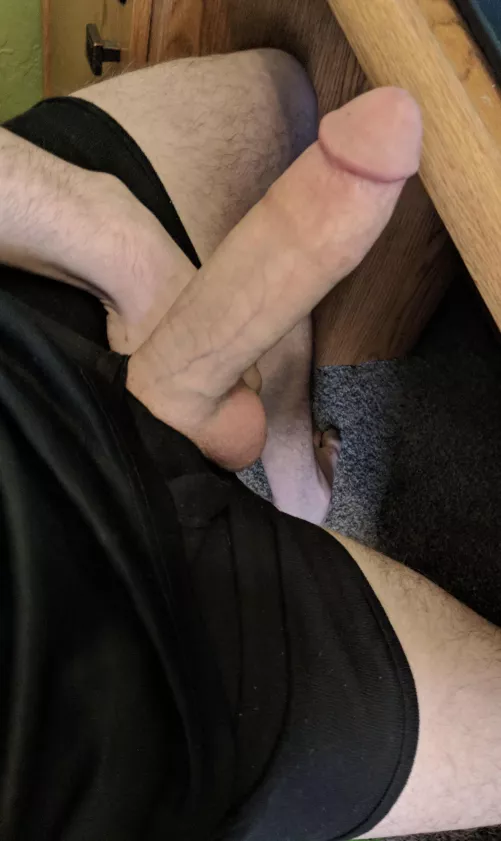 Can I slap it on your face?