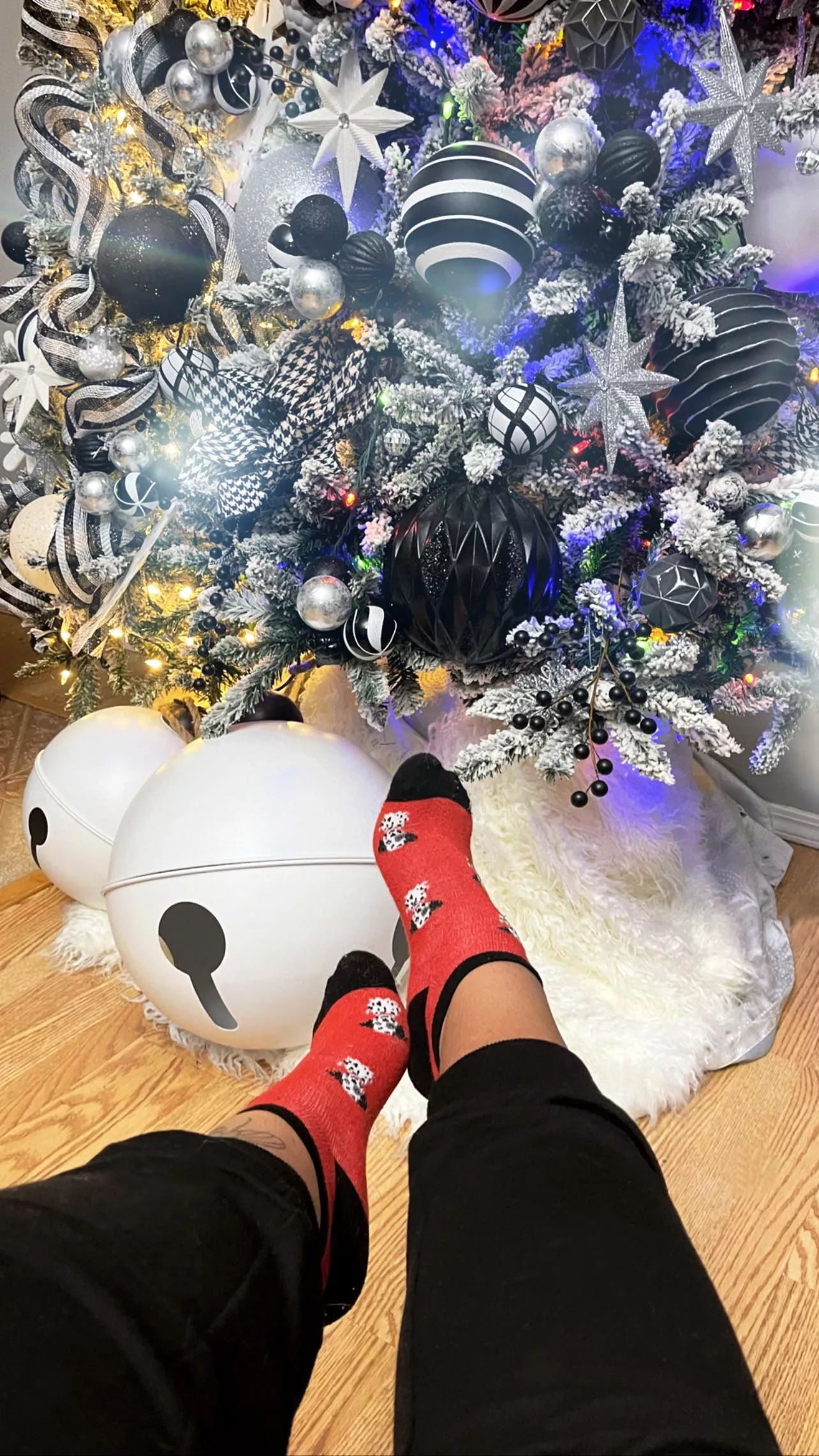 Dalmatian socks🖤♥️ *female*