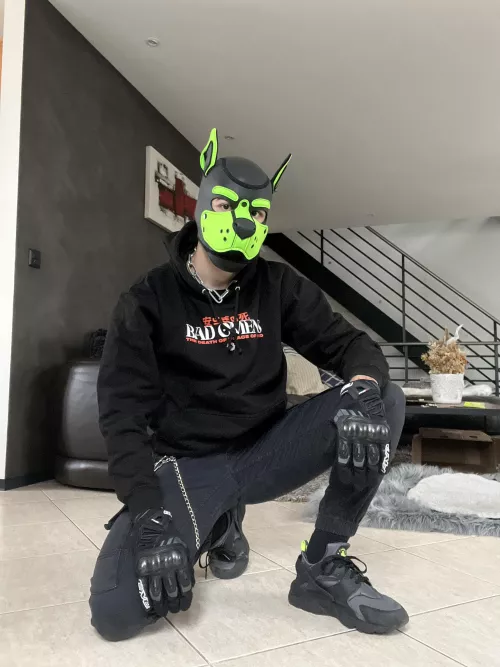 First ever post ! Do I look good ? 🐶🐾