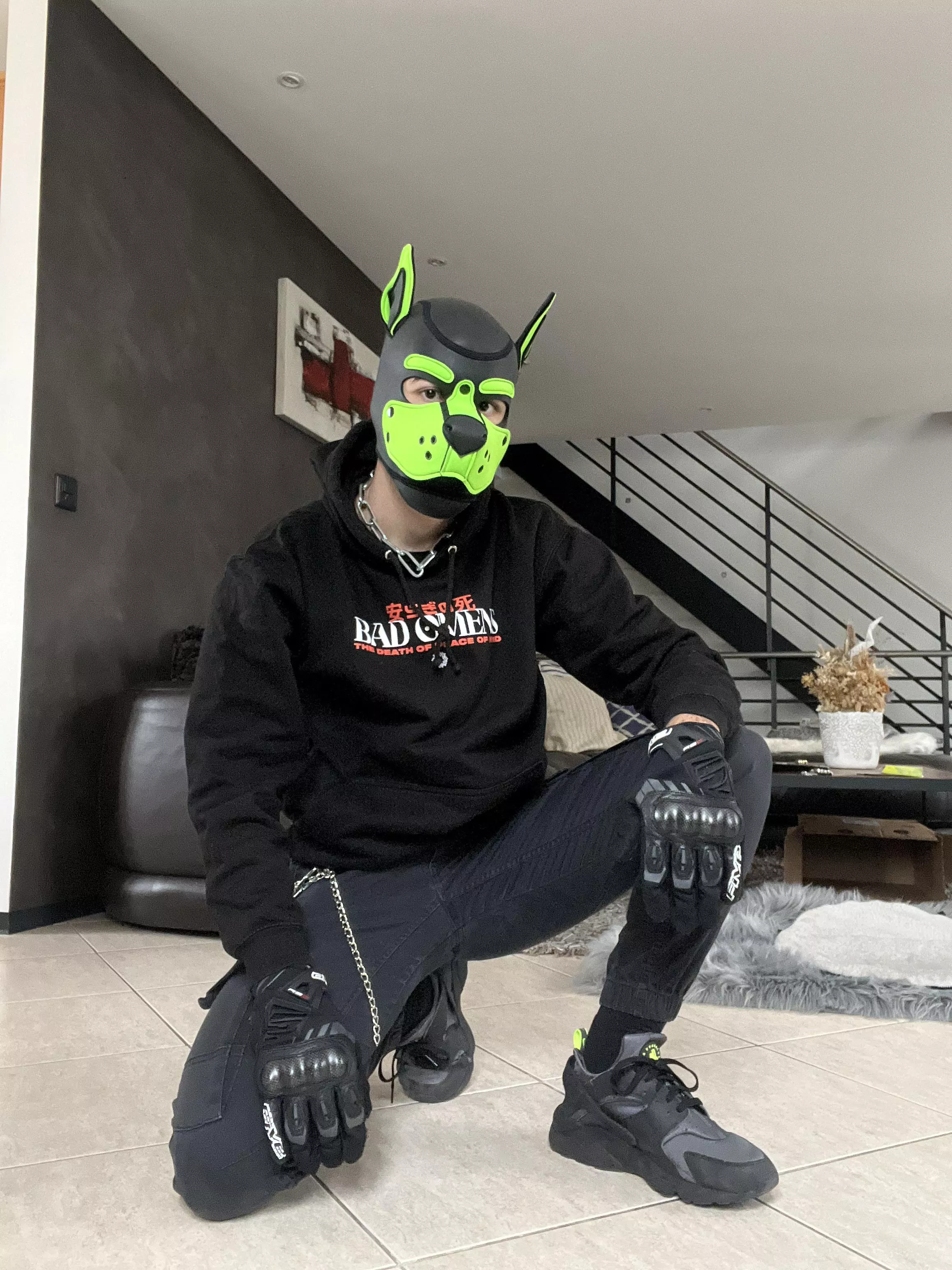 First ever post ! Do I look good ? 🐶🐾