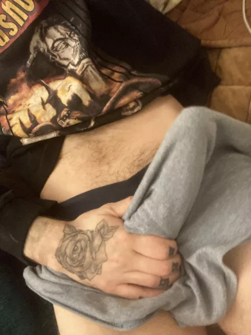 Help its gotta be tamed