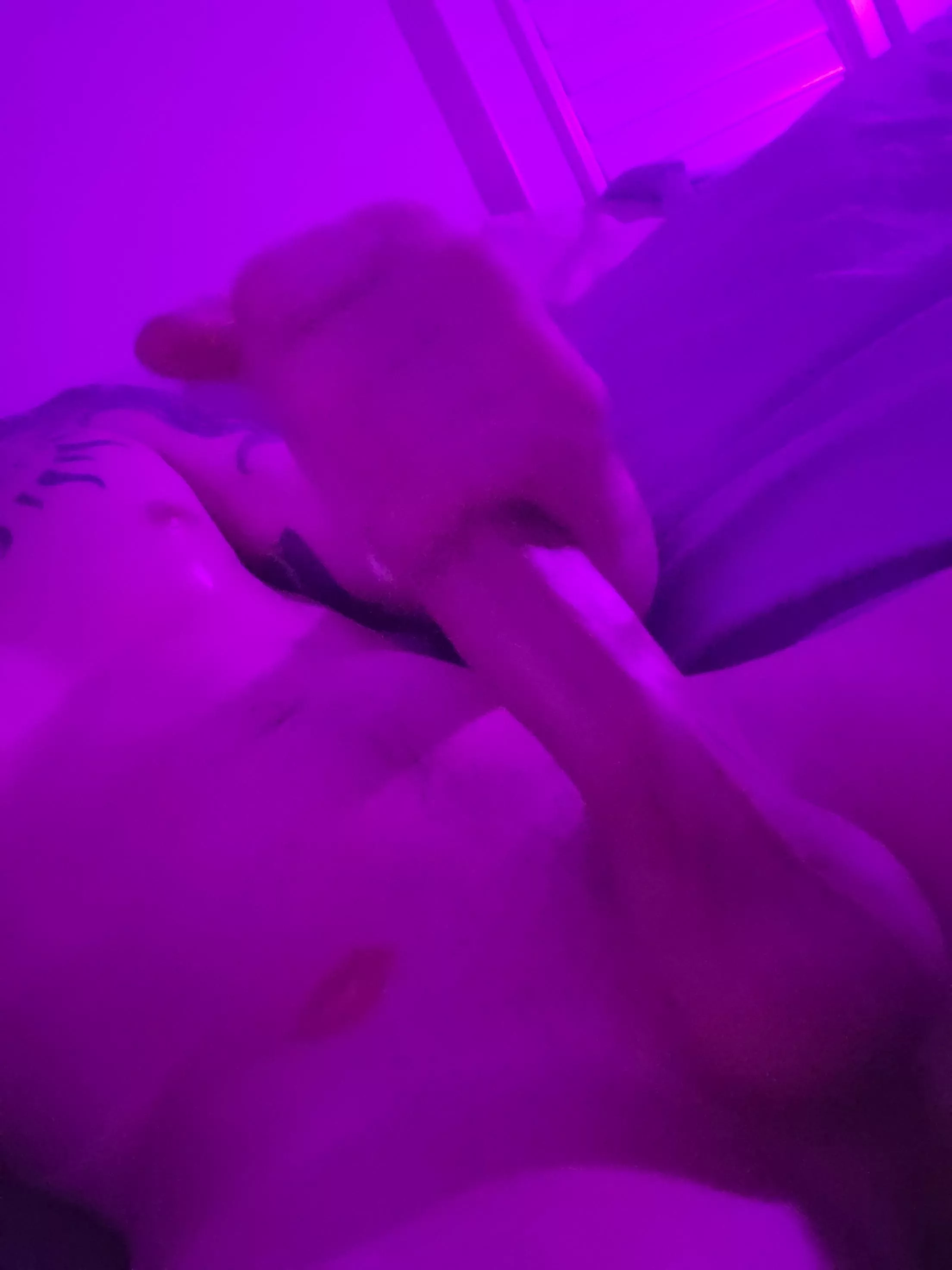 if you can get me to 50 followers on OF, I'll post the whole video of me stroking until I burst