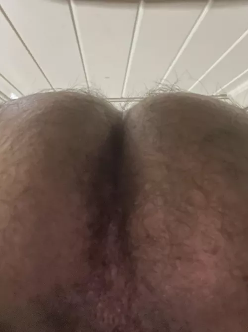 Morning glory…. Hole