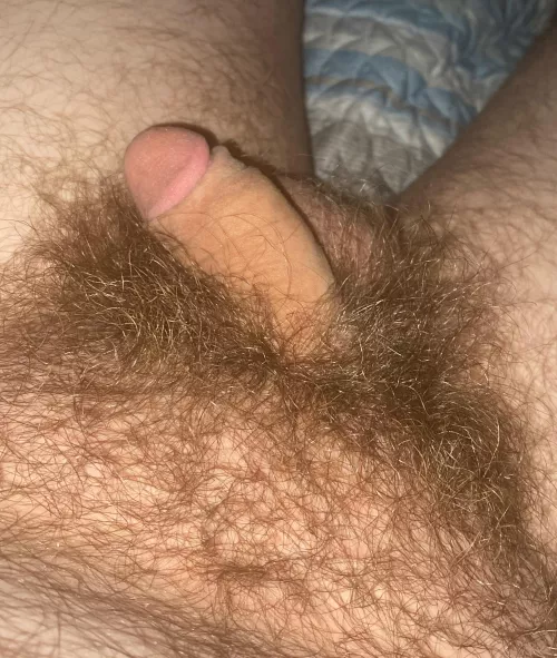 My soft cock and bush
