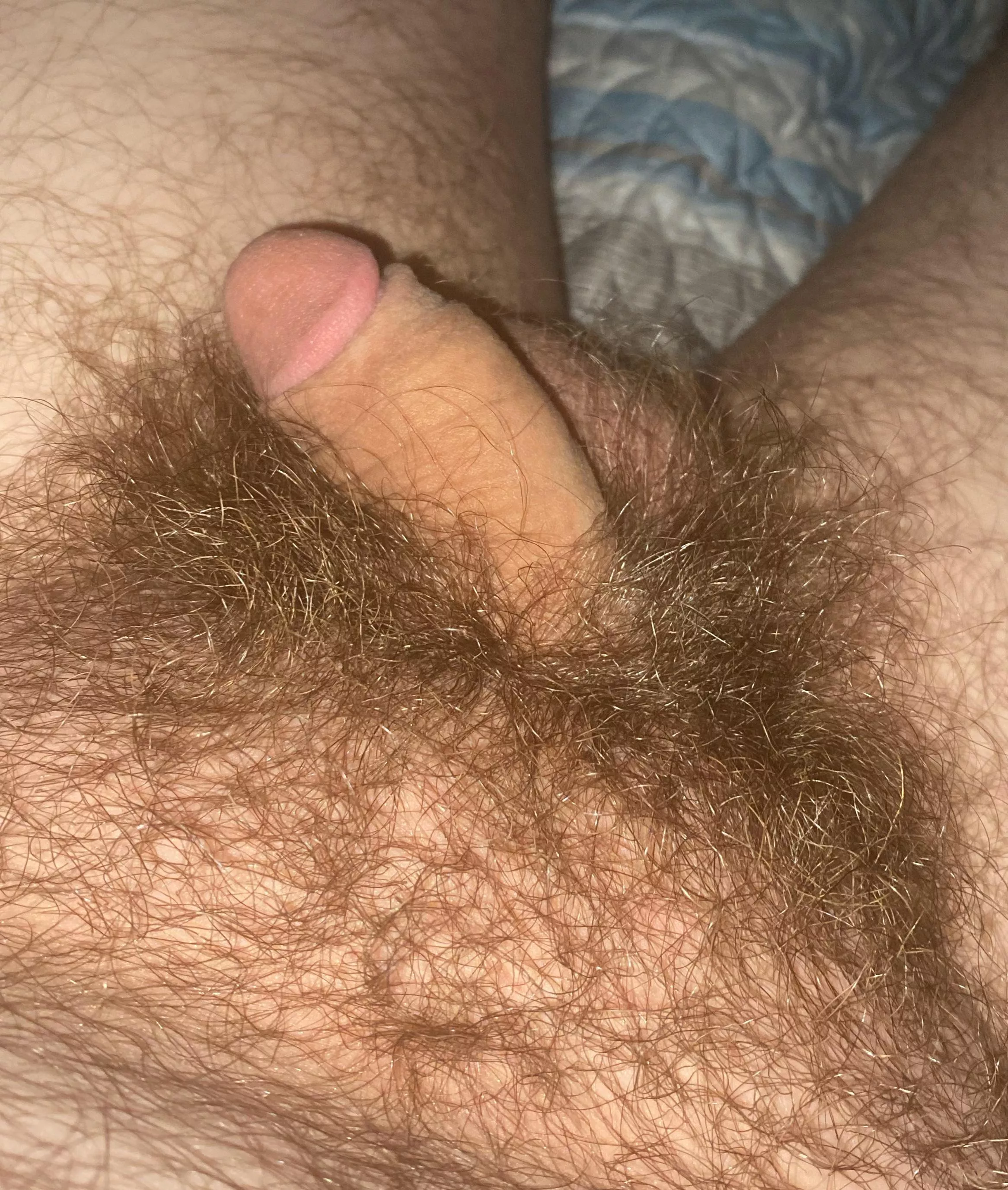My soft cock and bush