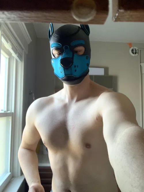 POV: I am grabbing your leash because we are going on walkies