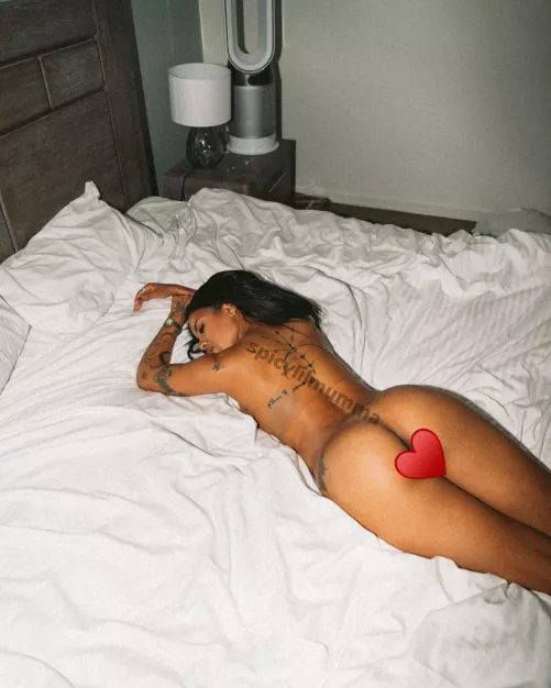 pussy of your dreams