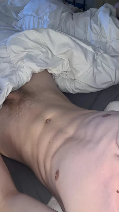 Should I shave or let it grow?